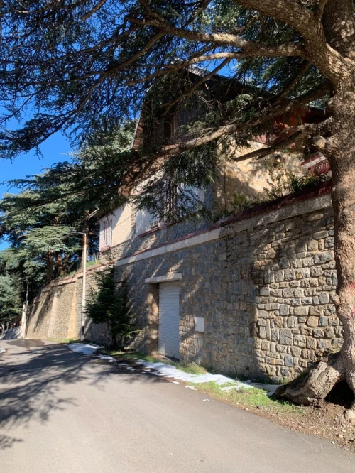 Location bien immobilier Blida Chrea