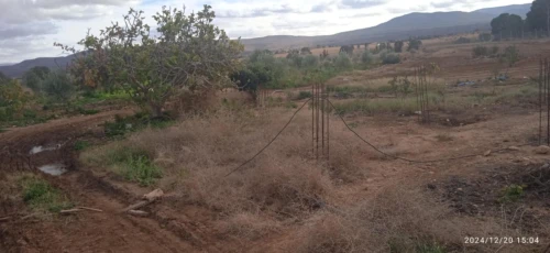 Vente Terrain Agricole Saïda Youb