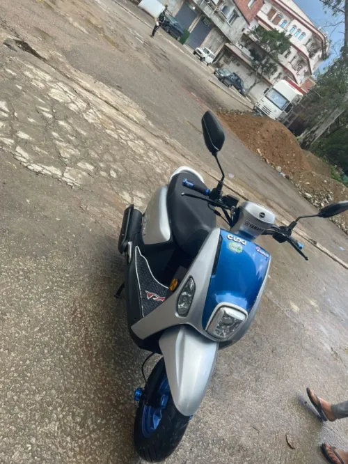 Vms Curious 2 2024