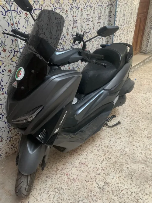 Okinoi Max ts 200 2024