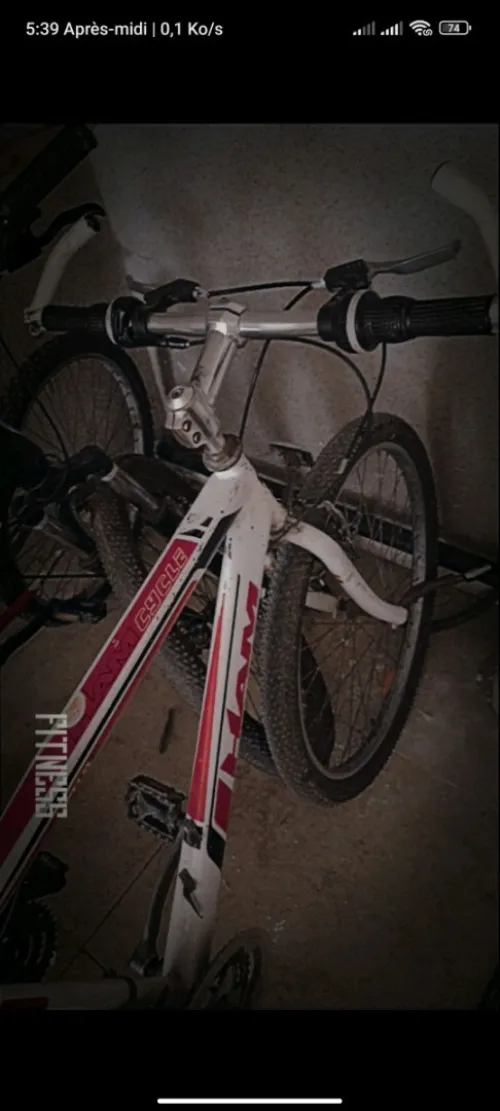 HAM_MTB MTB 2021