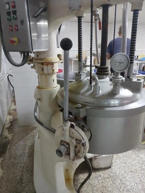 Cuiseur double bags français 160 kg Inox