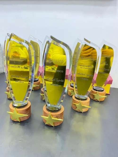 Trophée cristal lux