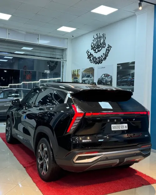 Geely CITYRAY 2025 L