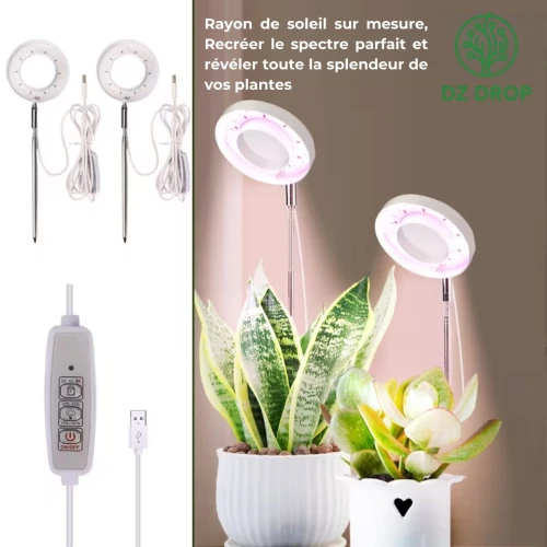 Lampes de Croissance pour plantes
