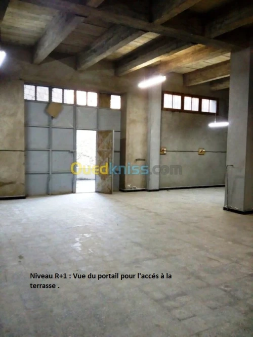 Vente Immeuble Alger Bouzareah