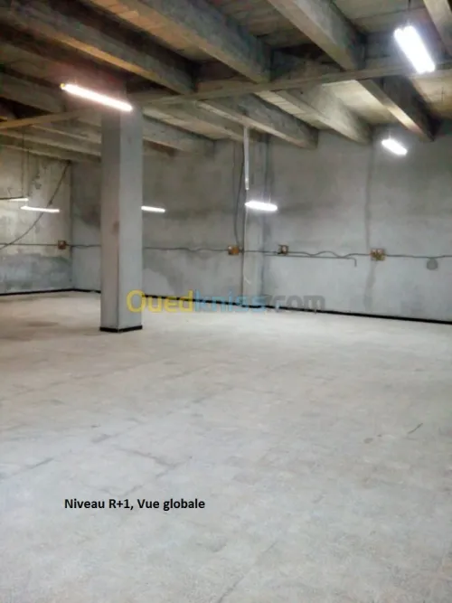Vente Immeuble Alger Bouzareah