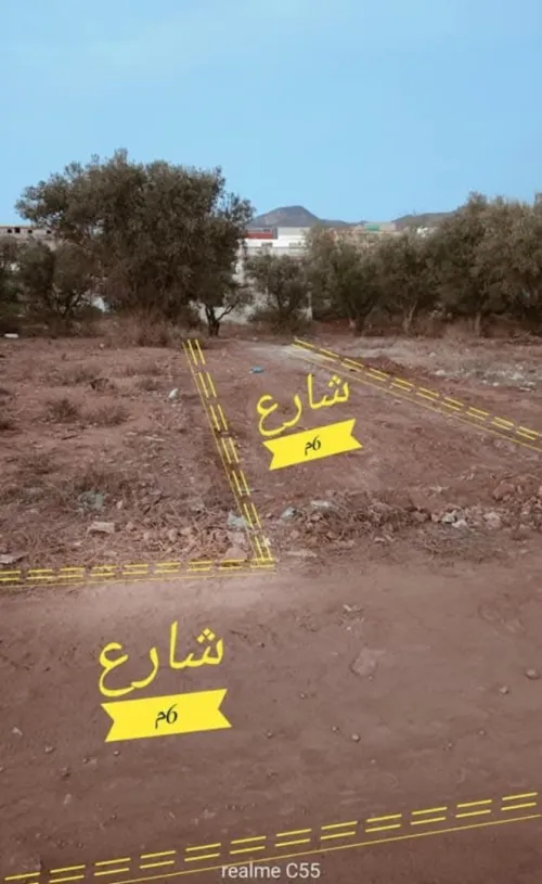 Vente Terrain Tlemcen Nedroma