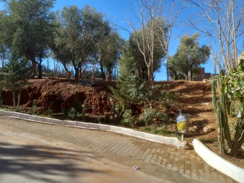 Vente Terrain Tlemcen Tlemcen