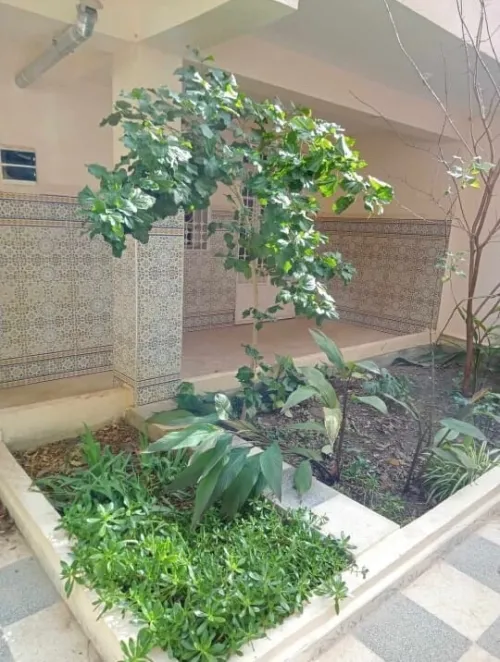 Vente Villa Guelma Guelma