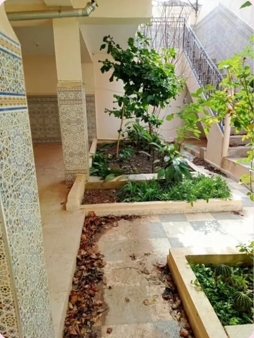 Vente Villa Guelma Guelma