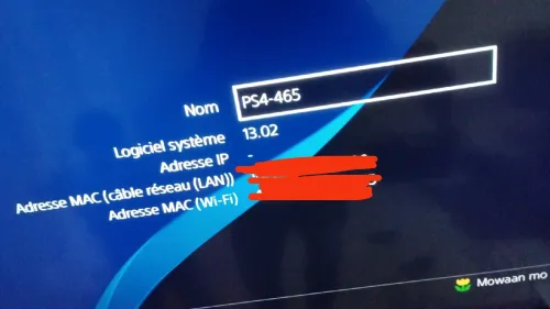 Playstation PS4 ,1To et 2 manettes