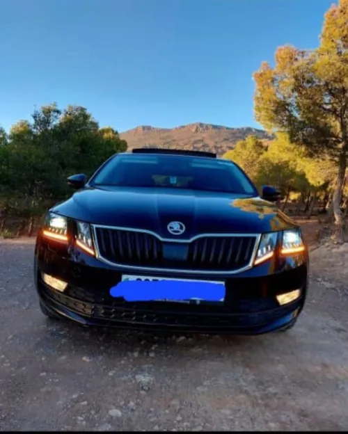 Skoda Octavia 2018 Clever
