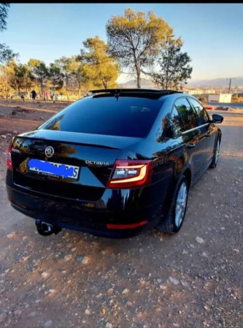 Skoda Octavia 2018 Clever