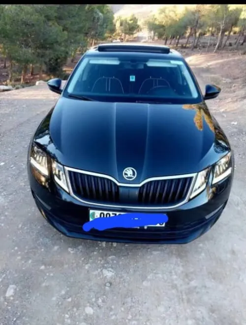 Skoda Octavia 2018 Clever