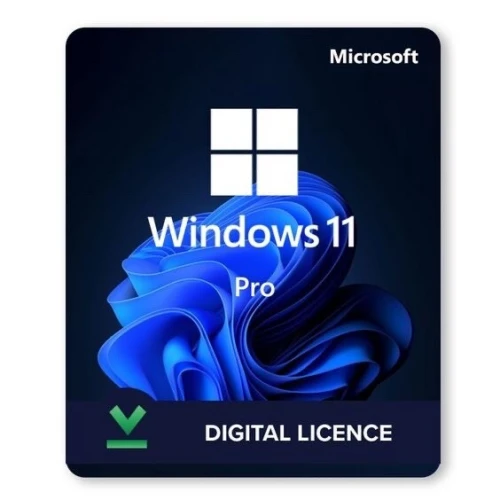 Activation windows 10 / 11 
