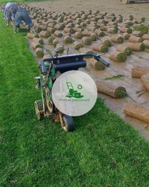 Espace vert,Pose gazon naturel et plantation d'arbres,d'arbustes et plantes décorative