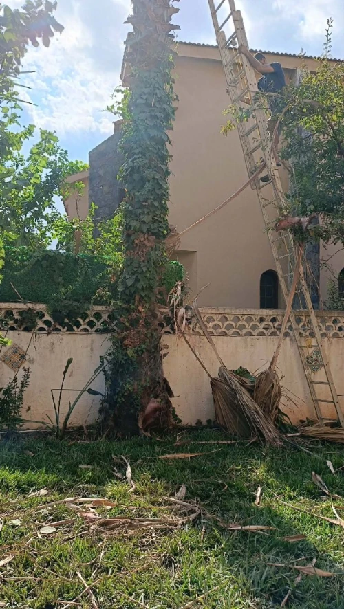 Jardinage & Entretien des espaces verts