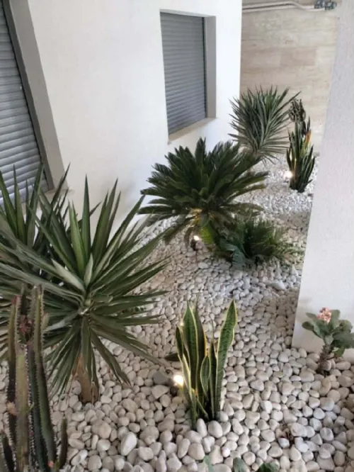Espace vert,Pose gazon naturel et plantation d'arbres,d'arbustes et plantes décorative