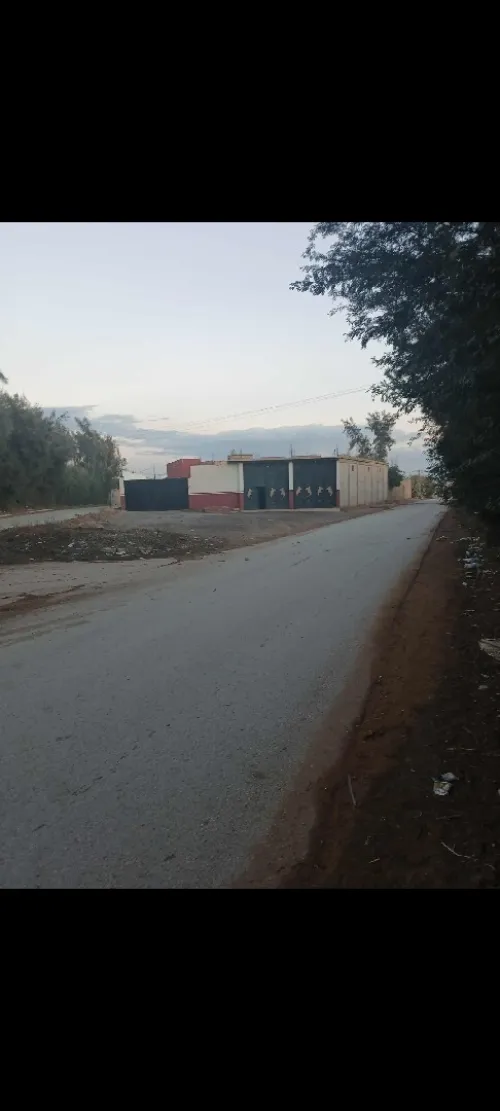 Location Local Mostaganem Sayada