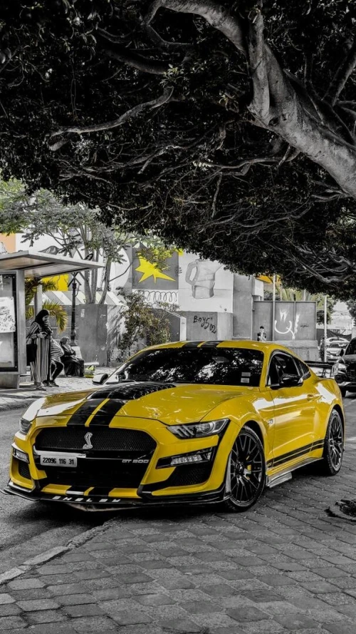 Ford Shelby 500GT 2016 