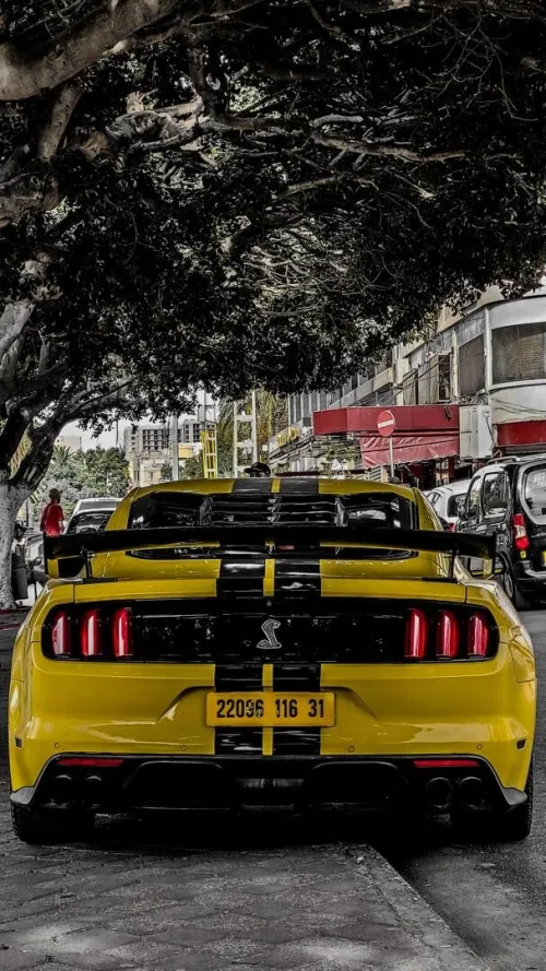 Ford Shelby 500GT 2016 