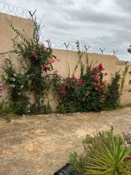 Vente Villa Alger Bouzareah