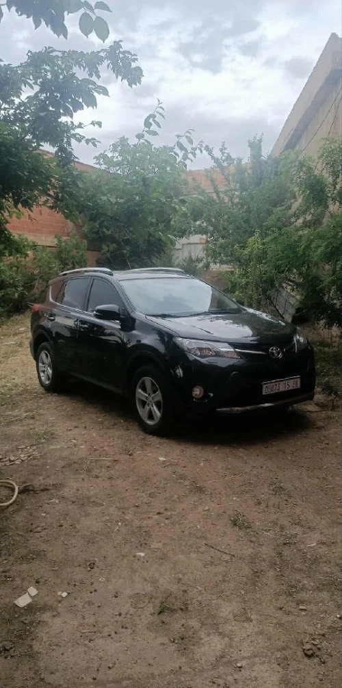 Toyota RAV4 2015 