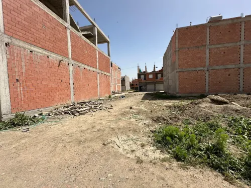 Vente Terrain Alger Tessala el merdja
