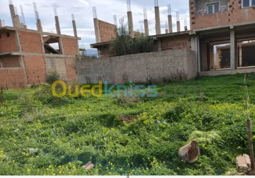Vente Terrain Blida Ouled selama