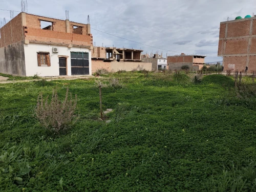 Vente Terrain Blida Ouled selama