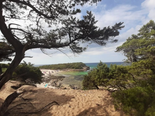 Vente Villa El taref El kala