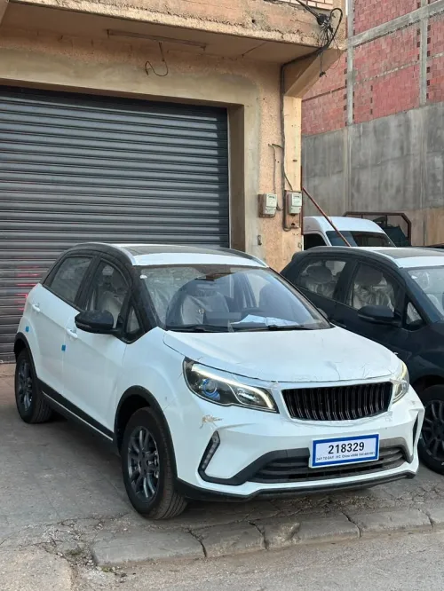 Livan X3 Pro  2026 Automatique (Avec toi ouvrant )