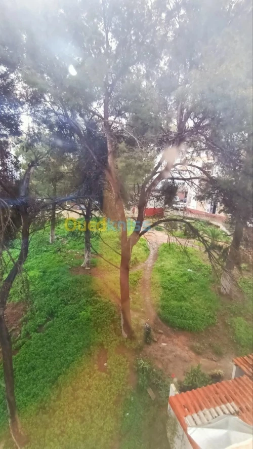 Location Appartement F2 Alger Bir mourad rais
