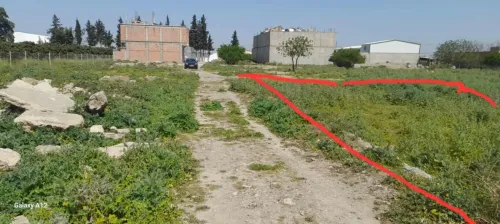 Vente Terrain Alger Baraki