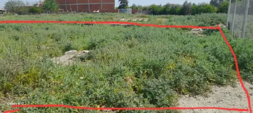 Vente Terrain Alger Baraki