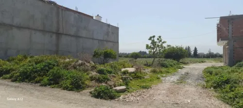 Vente Terrain Alger Baraki
