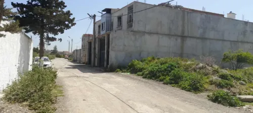 Vente Terrain Alger Baraki