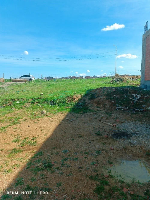 Vente Terrain Boumerdès Ouled moussa