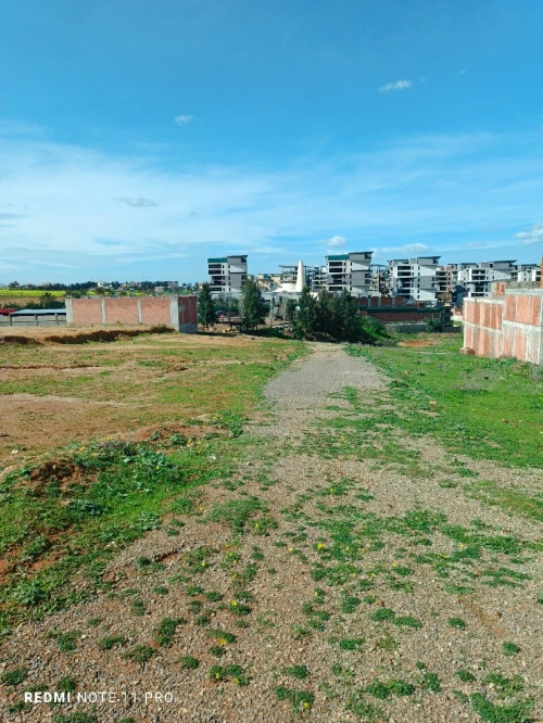 Vente Terrain Boumerdès Ouled moussa