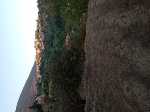 Vente Terrain Aïn Defla Miliana