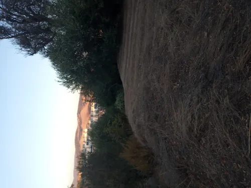 Vente Terrain Aïn Defla Miliana