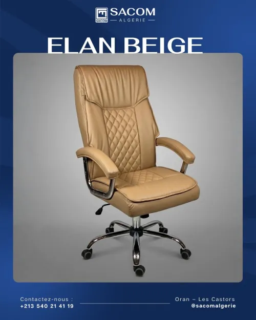 Fauteuil Directionnel