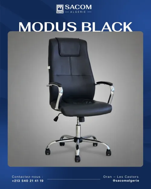 Fauteuil Directionnel