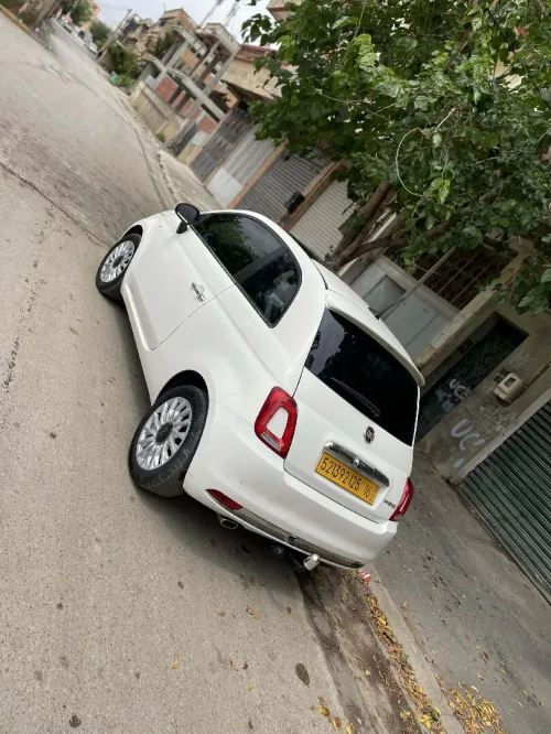 Fiat 500 2025 Cult MIB