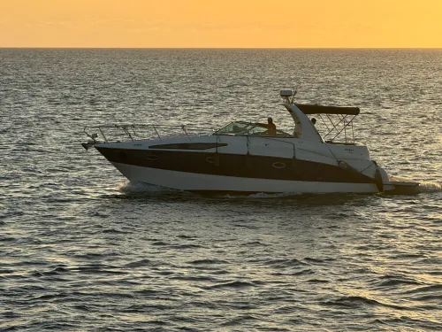Bayliner