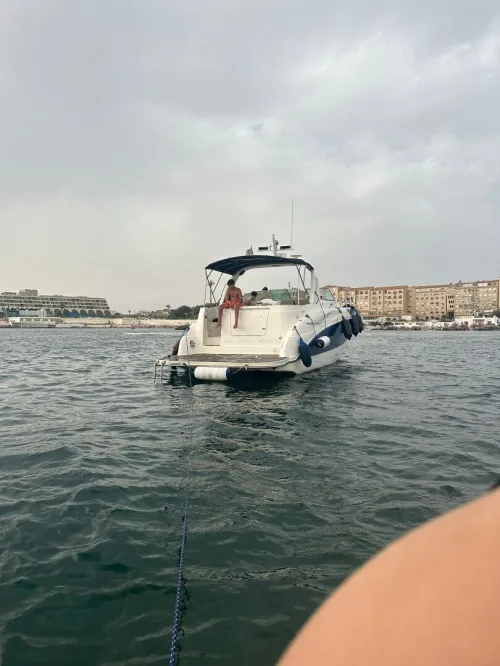 Bayliner