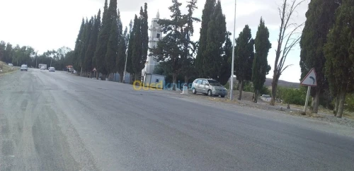Vente Terrain Constantine Ibn ziad