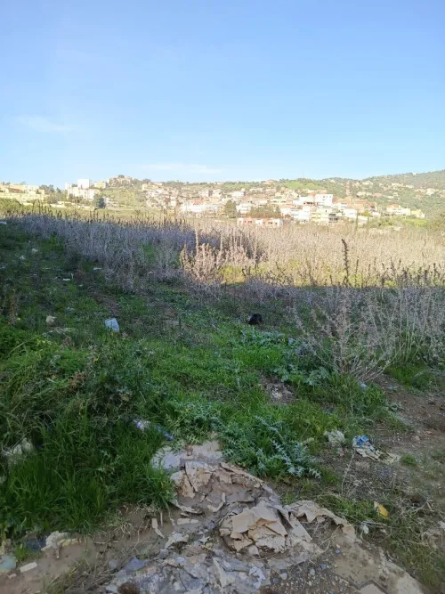 Vente Terrain Tizi Ouzou Tizi ghenif