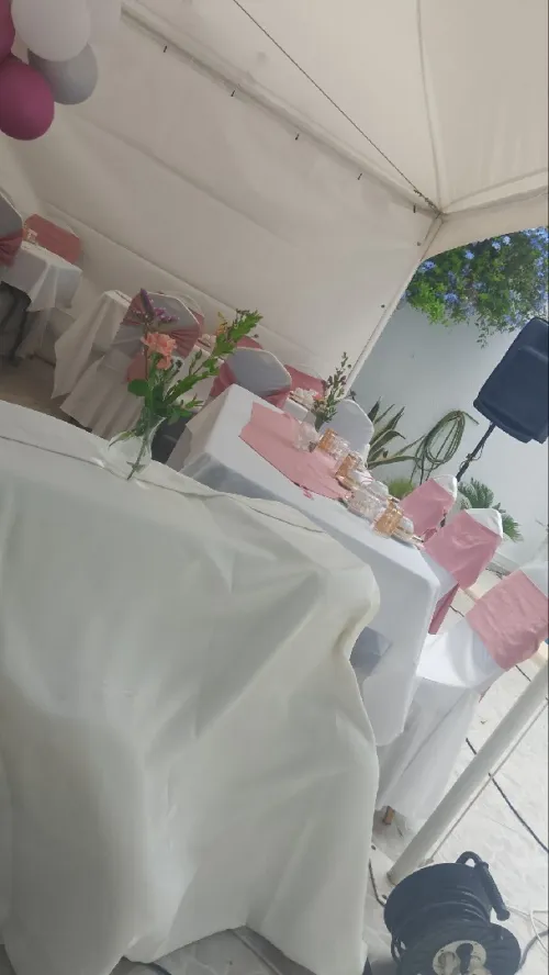 serveuse et serveurs pour vos fetes 